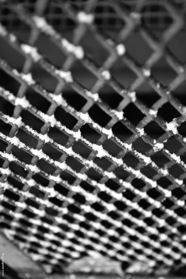 grille_neige1_web