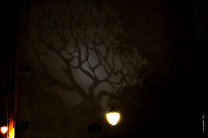arbre_projete_web