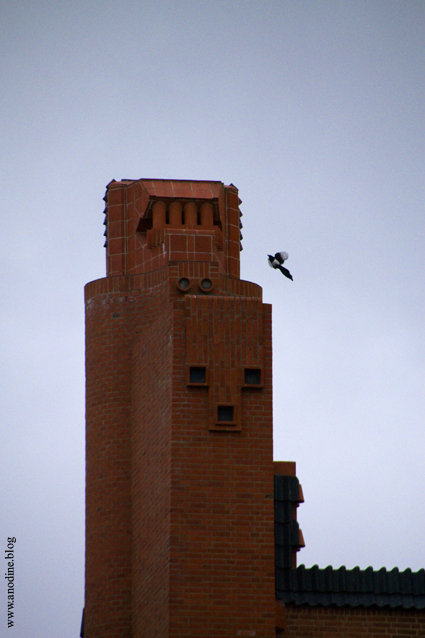 amsterdam_tour_pie_web