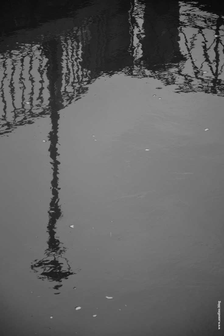 reflet_lampadaire_web